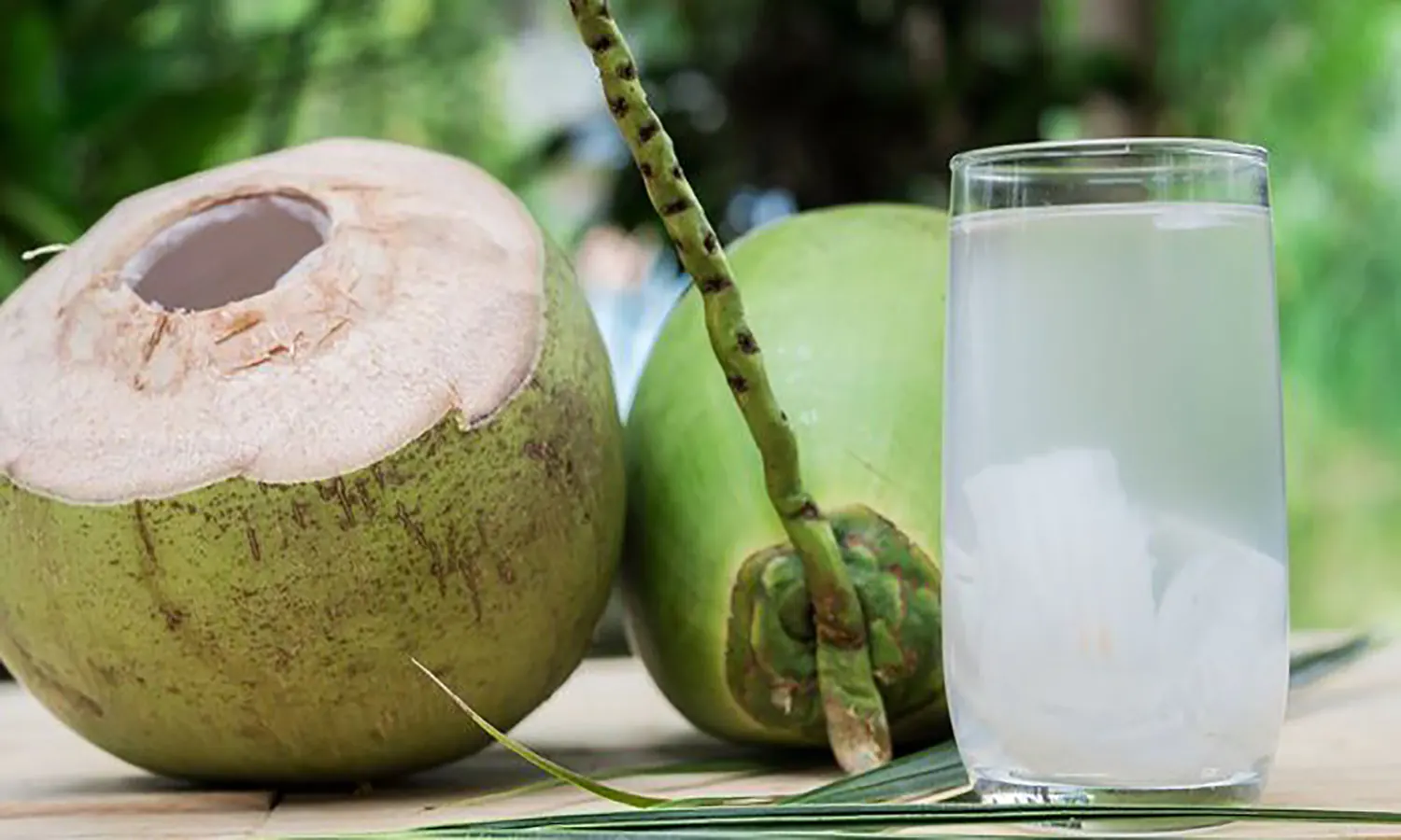 Manfaat Air Kelapa Muda: Sumber Kelezatan dan Kesehatan yang Luar Biasa untuk Semua Usia